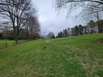 Shaffer Property